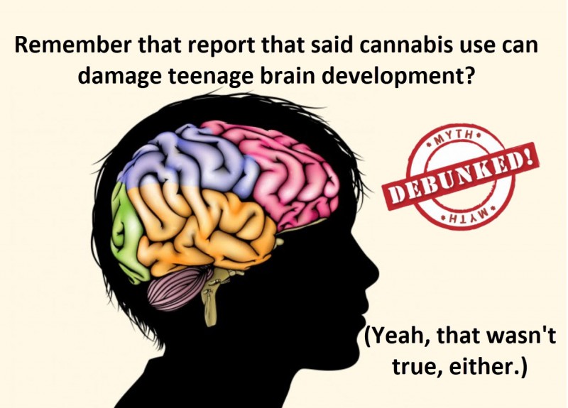 cannabis teen brain use