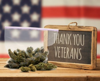 Why Veterans Make Great Employees for the Marijuana Industry