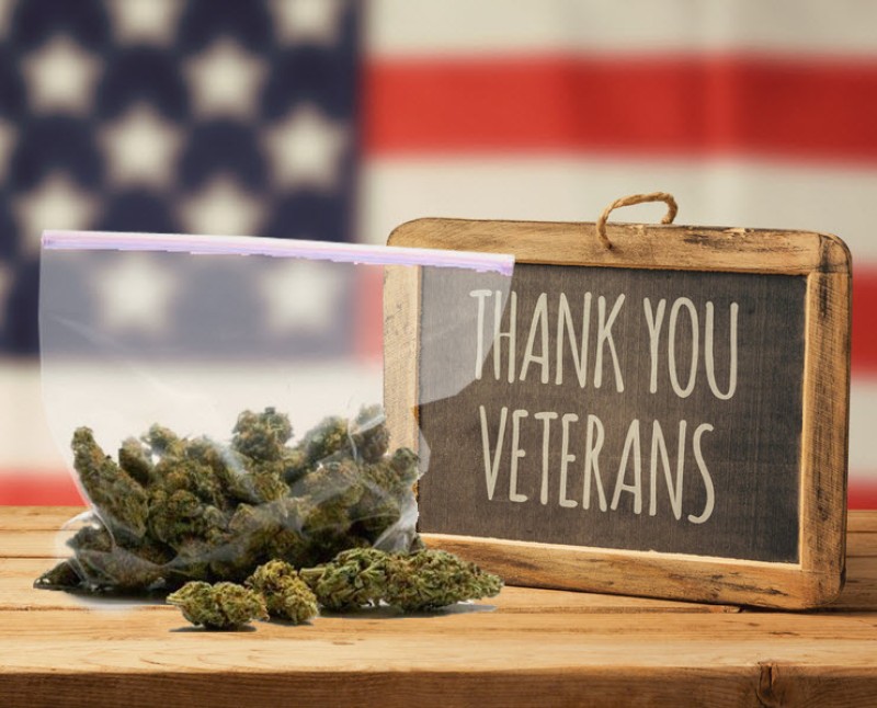 Hiring veterans in the cannabis industry