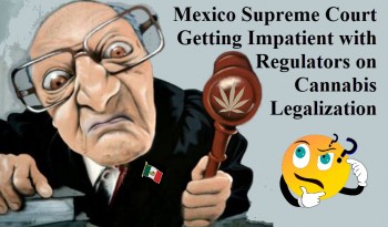 Mexico Supreme Court Getting Impatient with Regulators on Cannabis Legalization