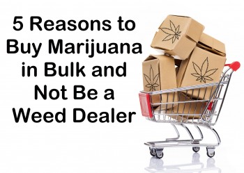 5 Reasons to Buy Marijuana in Bulk and Not Be a Weed Dealer