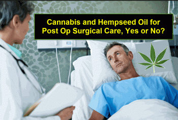 Cannabis and Hempseed Oil for Post Op Surgical Care