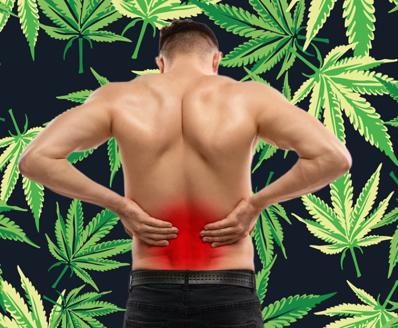 edibles for lower back pain