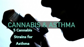 5 Cannabis Strains For Asthma