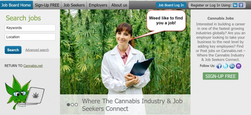 marijuana jobs