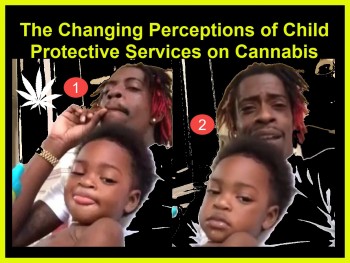 The Changing Perceptions of Child Protective Services on Cannabis