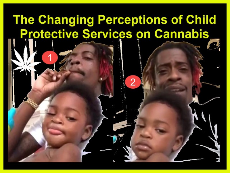 cannabis and DSS