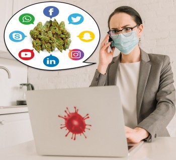 5 Strategies to Grow a New Cannabis (CBD) Businesses during the Coronavirus Pandemic