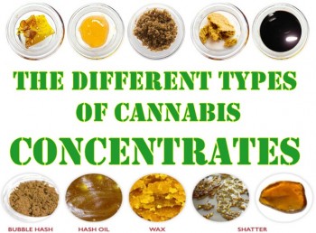 The Different Types of Cannabis Concentrates
