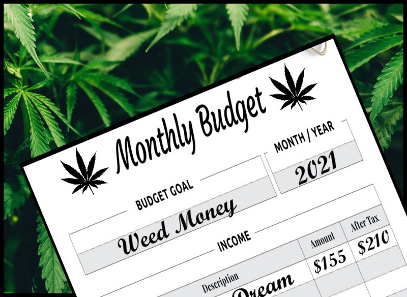 monthly budget on weed
