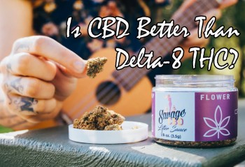 Is CBD Better Than Delta-8 THC?