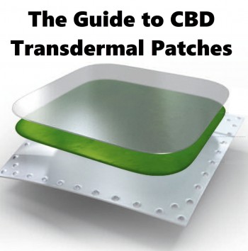 CBD Patch - The Ultimate Guide to CBD Transdermal Patches, Do You Need THC?
