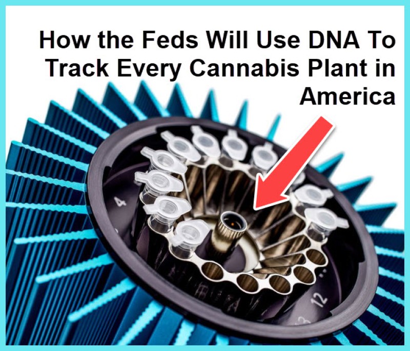 cannabis DNA tracker