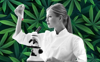 Federal Scientists Acknowledge Weed's Medicinal Benefits, Yes, It Meets the Criteria for Reclassification!