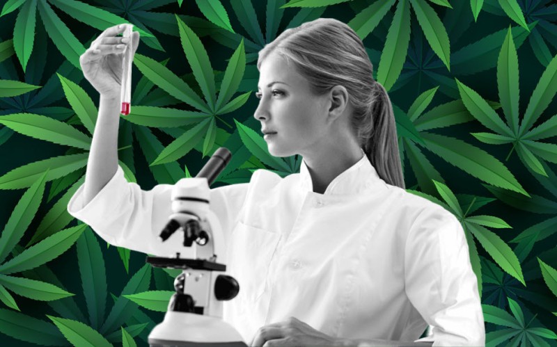 Scientists see medical benefits of marijuana