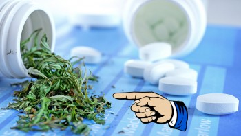 Is CBD Hurting Ibuprofen Sales? - Which One Works Better for Managing Pain?