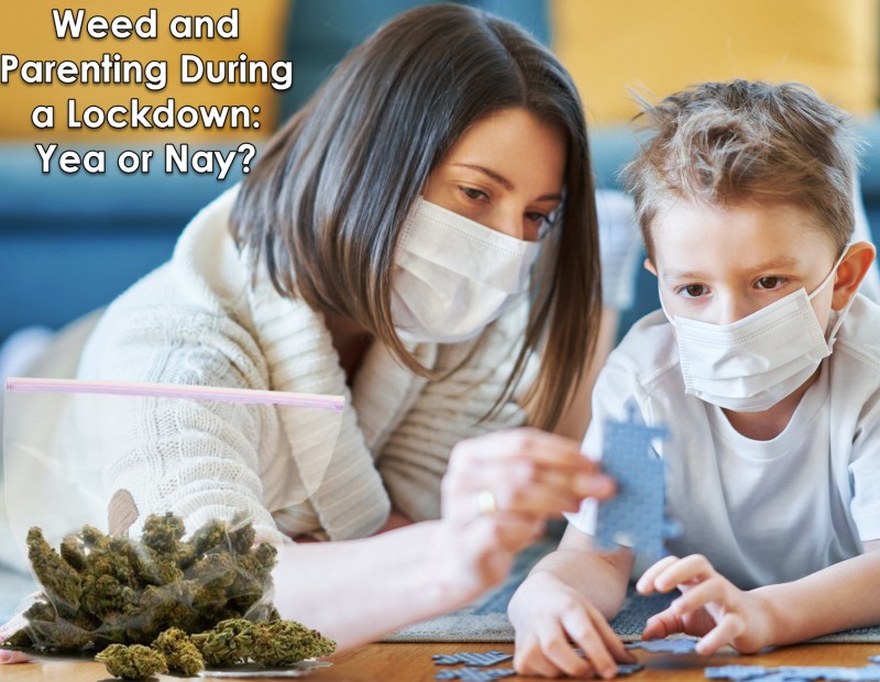 marijuana use lockdown and parenting