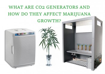 What are CO2 Generators and How Do They Affect Marijuana Growth?