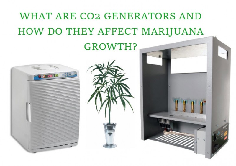 CO2 generator for cananbis