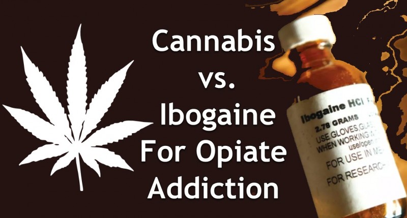 cannabis or ibogaine for opioids