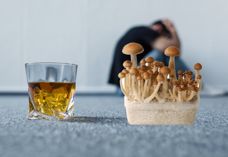 mushrooms for alcoholism