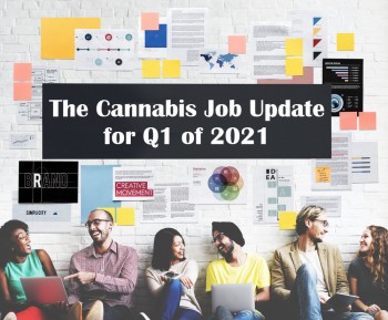 The Cannabis Job Update for Q1 of 2021 - Booming Salaries and Executives in Demand