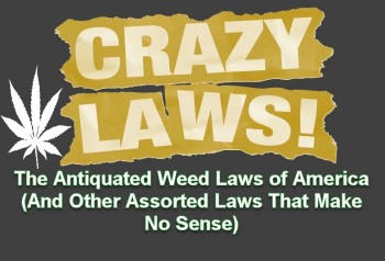 The Antiquated Weed Laws of America (And Other Assorted Laws That Make No Sense)