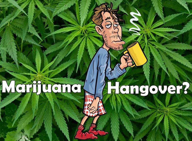 is there a marijuana hangover effect