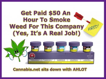 Get Paid $50 An Hour To Smoke Weed For This Company (Yes, It’s A Real Job!)