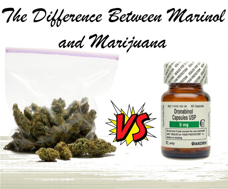 marinol or marijuana