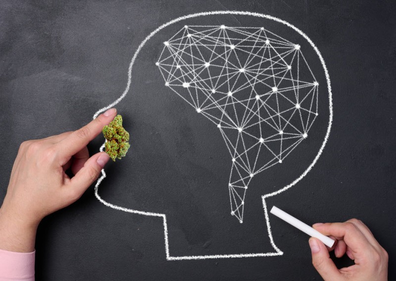 cannabis on memory function