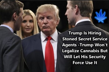 Trump Is Hiring Stoned Secret Service Agents