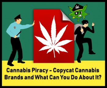 Cannabis Piracy - Copycat Cannabis Brands and What Can You Do About It?