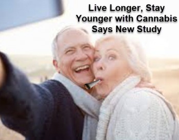 Live Longer, Stay Younger with Cannabis Says New Study
