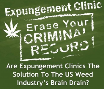 Are Expungement Clinics The Solution To The US Weed Industry’s Brain Drain?