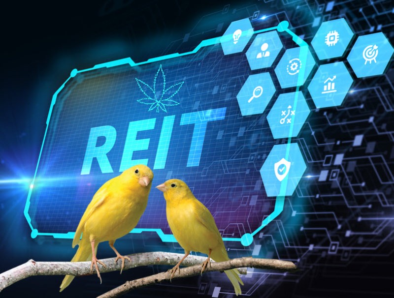 Cannabis REIT timing short selling