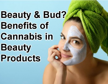 Benefits of Cannabis in Beauty Products