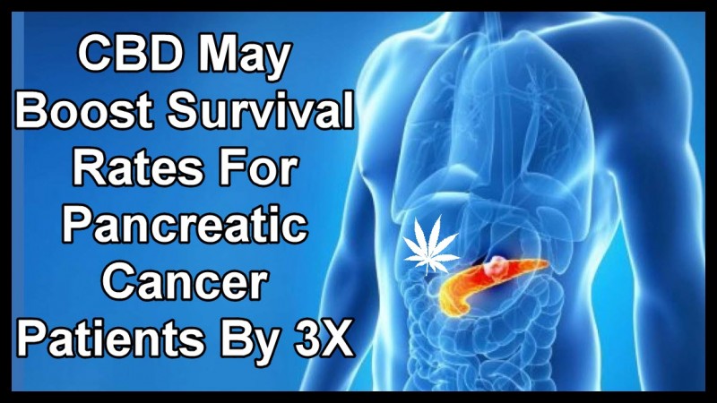 cbd for pancreatic cancer
