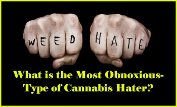 What is the Most Obnoxious-Type of Cannabis Hater?