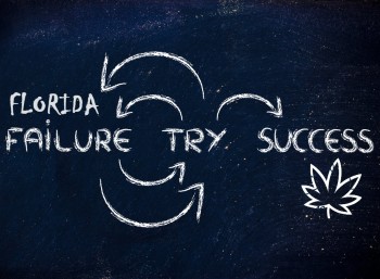 Why Can't Florida Get Recreational Cannabis Approved Once and for All?