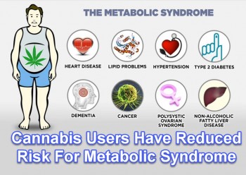 Cannabis Users Have Reduced Risk For Metabolic Syndrome