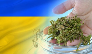 The Ukraine's Secret Weapon - Legalizing Medical Marijuana Immediately