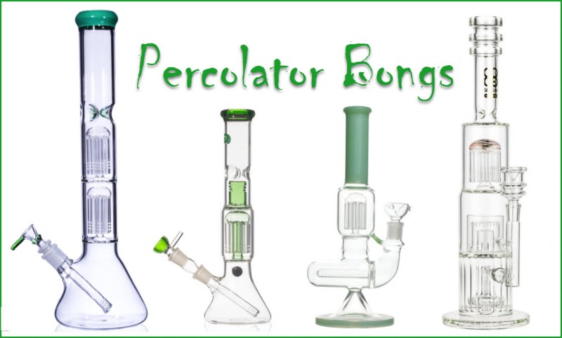 What are percolator bongs?