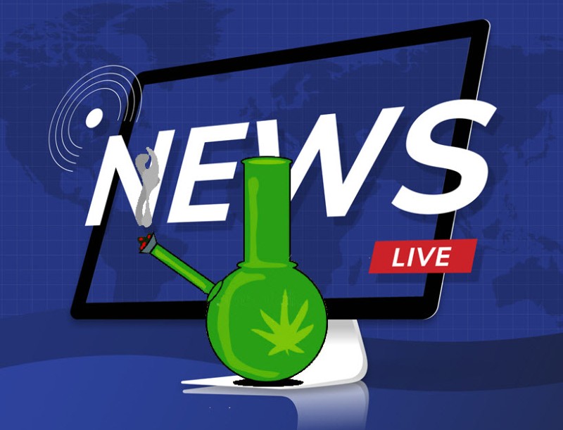 cannabis news reports