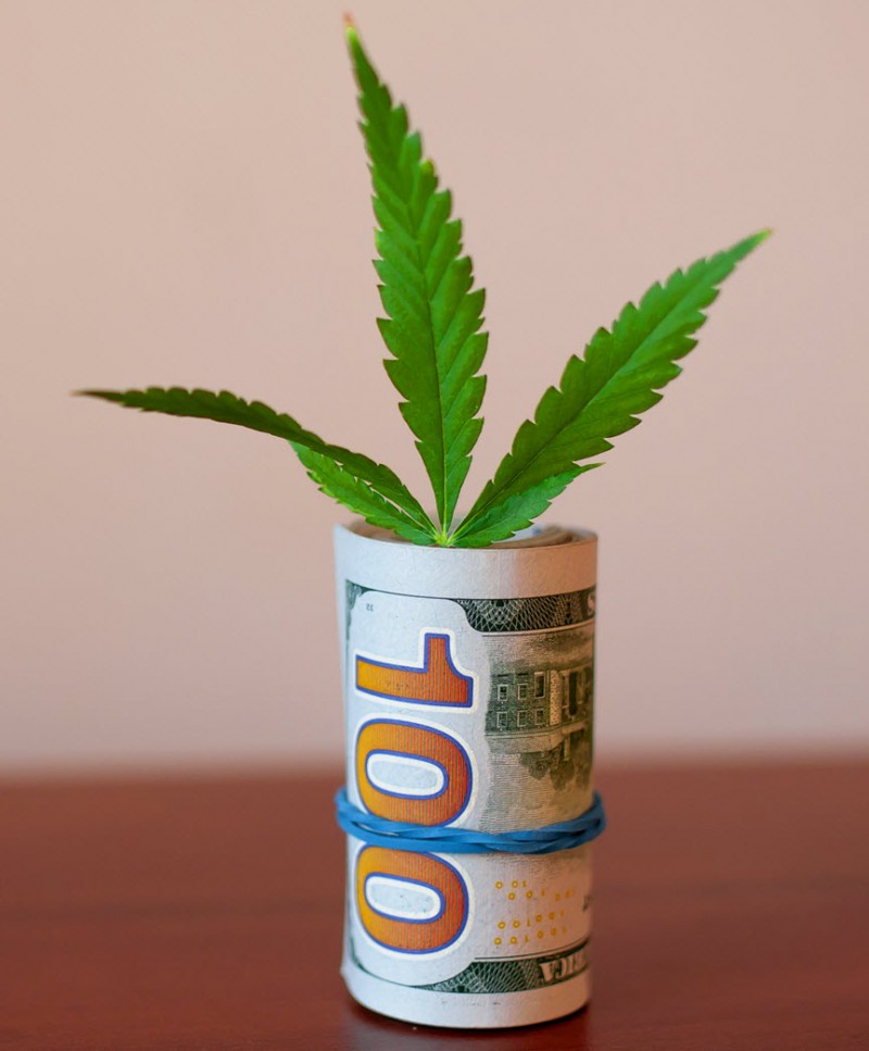 making money in marijuana