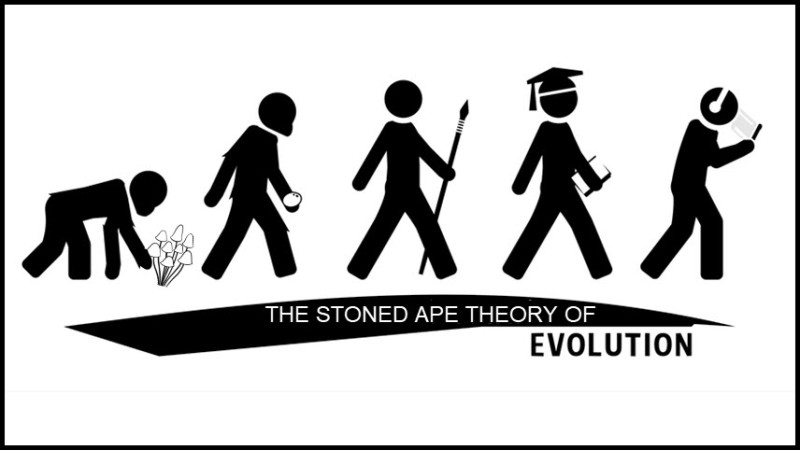 Stoned Ape Theory of Evolution