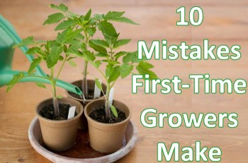 10 Mistakes First-Time Growers Make