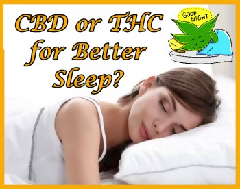 CBD or THC for Better Sleep?