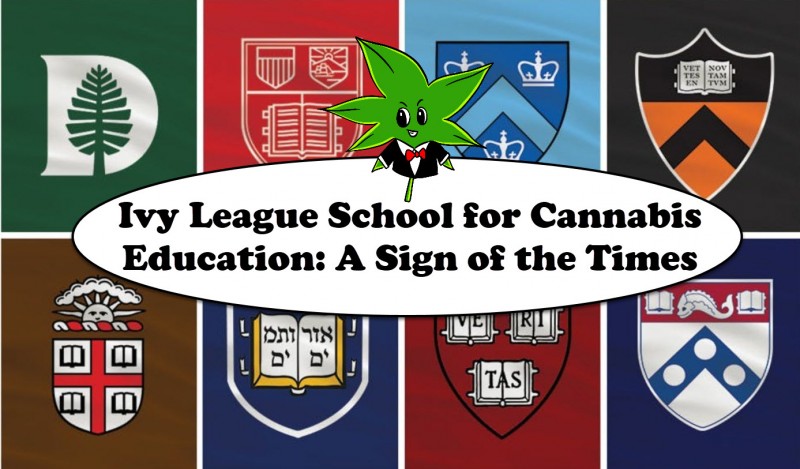 Ivy League cannabis classes