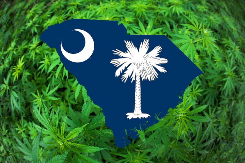 South Carolina medical marijuana voters